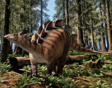 Laden Sie das Bild in den Galerie-Viewer, 49217730904332