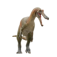 Laden Sie das Bild in den Galerie-Viewer, Baryonyx - Prähistorische Dinosaurier Figur