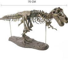 Laden Sie das Bild in den Galerie-Viewer, XXL Tyrannosaurus Rex T-Rex Skelett Modell zum selbstbauen 70cm kaufen - Dinosaurier.store