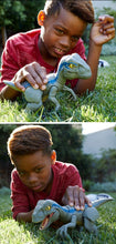 Laden Sie das Bild in den Galerie-Viewer, Jurassic World Dinosaurier Spielzeug Blue mit Sound Effekt Spielzeug kaufen - Dinosaurier.store