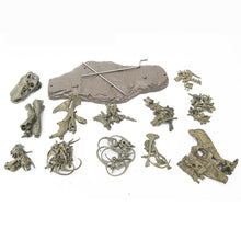 Laden Sie das Bild in den Galerie-Viewer, XXL T-Rex Dinosaurier Skelett Modell (ca. 68cm) kaufen - Dinosaurier.store