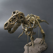 Laden Sie das Bild in den Galerie-Viewer, XXL T-Rex Dinosaurier Skelett Modell (ca. 68cm) kaufen - Dinosaurier.store