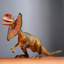 Laden Sie das Bild in den Galerie-Viewer, Dilophosaurus Dinosaurier Spielzeug Figur kaufen - Dinosaurier.store
