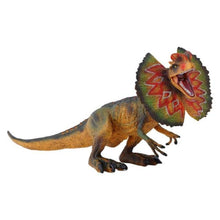 Laden Sie das Bild in den Galerie-Viewer, Dilophosaurus Dinosaurier Spielzeug Figur kaufen - Dinosaurier.store