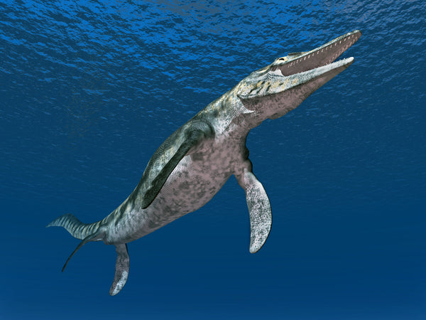 Die faszinierende Welt des Mosasaurus: Der König der Meere im Zeitalter der Dinosaurier