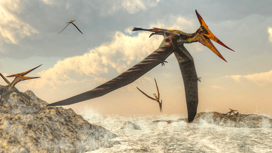 Die faszinierende Welt der Pterosaurier