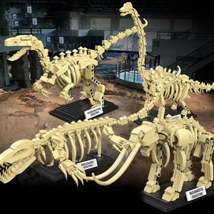 Dinosaurier Fossilien zum selber bauen kaufen - Dinosaurier.store