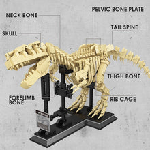 Laden Sie das Bild in den Galerie-Viewer, Bausatz T-Rex Fossil, 1572 Einzelteile kaufen - Dinosaurier.store