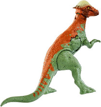 Laden Sie das Bild in den Galerie-Viewer, Jurassic World Kampfschaden Pachycephalosaurus Dino Spielzeug Figur kaufen - Dinosaurier.store