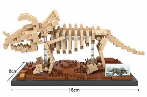 Triceratops Skelett Museum Baustein Spielzeug kaufen - Dinosaurier.store