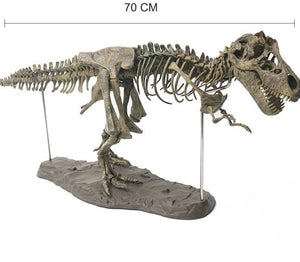 XXL Tyrannosaurus Rex T-Rex Skelett Modell zum selbstbauen 70cm kaufen - Dinosaurier.store
