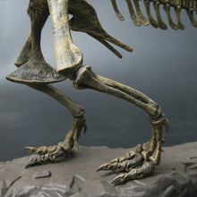 Laden Sie das Bild in den Galerie-Viewer, XXL Tyrannosaurus Rex T-Rex Skelett Modell zum selbstbauen 70cm kaufen - Dinosaurier.store