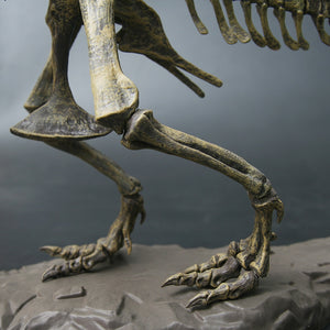 XXL Tyrannosaurus Rex T-Rex Skelett Modell zum selbstbauen 70cm kaufen - Dinosaurier.store