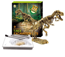 Laden Sie das Bild in den Galerie-Viewer, T-Rex Ausgrabungsset Spielzeug Dinosaurier kaufen - Dinosaurier.store