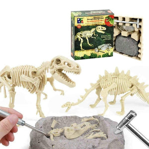 Dinosaurier Ausgrabungsset mit Dino Skelett und Zubehör Dino Spielzeug kaufen - Dinosaurier.store
