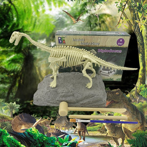 Dinosaurier Ausgrabungsset mit Dino Skelett und Zubehör Dino Spielzeug kaufen - Dinosaurier.store