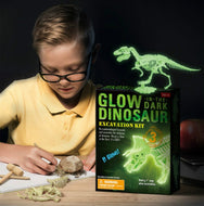 Dinosaurier Ausgrabungsset mit Dino Skelett - Leuchtet im Dunkeln kaufen - Dinosaurier.store