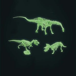 Dinosaurier Ausgrabungsset mit Dino Skelett - Leuchtet im Dunkeln kaufen - Dinosaurier.store