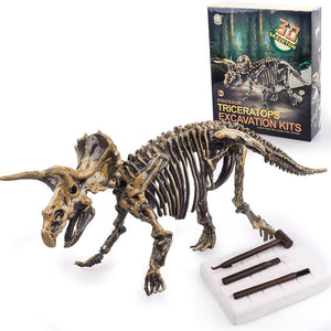 Dinosaurier Ausgrabung Set (verschiedene Motive) kaufen - Dinosaurier.store