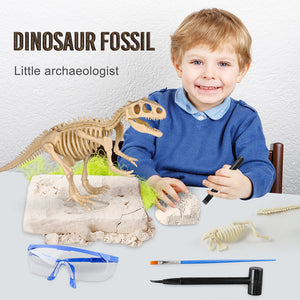 Dinosaurier Fossil Ausgrabungsset kaufen - Dinosaurier.store