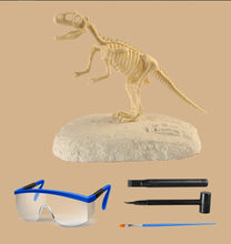Laden Sie das Bild in den Galerie-Viewer, Dinosaurier Fossil Ausgrabungsset kaufen - Dinosaurier.store