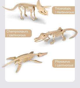 Dinosaurier Fossil Ausgrabungsset kaufen - Dinosaurier.store