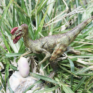 Jurassic Oviraptor Eierdieb Dinosaurier Spielzeug Figur kaufen - Dinosaurier.store
