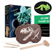 Dino Eier und Skelette - Leuchten im Dunkeln - verschiedene Motive zur Wahl kaufen - Dinosaurier.store