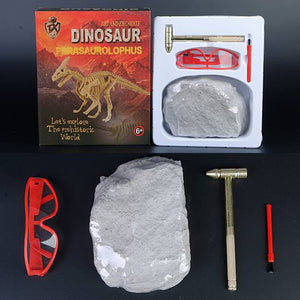 Dino Skelette - Dinosaurier Fossilien zum ausgraben Spielzeug kaufen - Dinosaurier.store