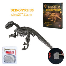 Laden Sie das Bild in den Galerie-Viewer, Dino Skelette - Dinosaurier Fossilien zum ausgraben Spielzeug kaufen - Dinosaurier.store