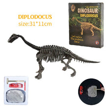 Laden Sie das Bild in den Galerie-Viewer, Dino Skelette - Dinosaurier Fossilien zum ausgraben Spielzeug kaufen - Dinosaurier.store