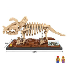 Laden Sie das Bild in den Galerie-Viewer, Triceratops Skelett Museum Baustein Spielzeug kaufen - Dinosaurier.store