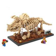 Laden Sie das Bild in den Galerie-Viewer, Triceratops Skelett Museum Baustein Spielzeug kaufen - Dinosaurier.store